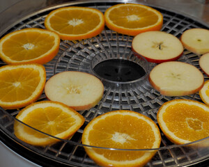 thin slices of oranges and apples lie on a plastic dryer side view.  preparing for christmas