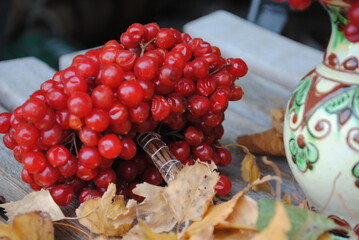 still life with berries