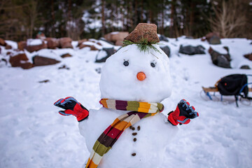 Obraz premium Happy boy stands behind the snowman and gives thumbs up, as if the snowman is doing it. Friend made of snow. Seasonal family weekend, active authentic lifestyle