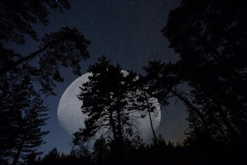Obraz na płótnie Canvas huge half moon rising over night forest on starry sky, fantasy natural night scene