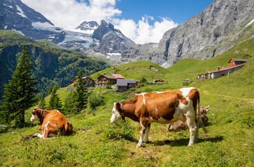 Fototapeta na wymiar The Hineres Lauterbrunnental valley with the Breithorn and Wetterlucke peaks - hotel Obersteinberg.