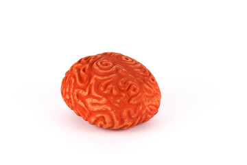 Brain on white background