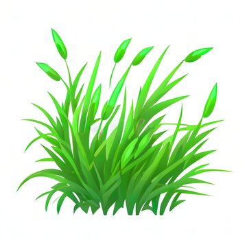 Green grass in cartoon style, bright herb isolated on white background. Season natural wild plant, design element, game asset.
