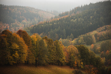 polish autumn landscape © Zuzanna