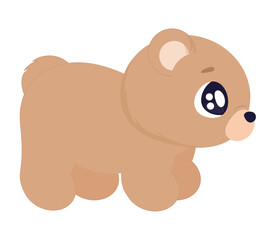 adorable bear illustration