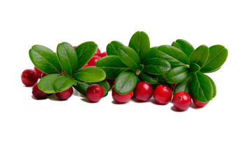 Cranberry with leaves isolated. fresh cranberry. Full depth of field.