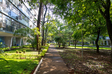 A day walking in green path near my house in Brasília