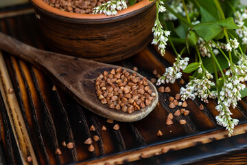 wholegrain buckwheat on a vintage wooden cutting board. A bunch of uncooked Fagopyrum esculentum. seeds of fresh harvest with a bouquet of buckwheat flowers. Dietary fiber