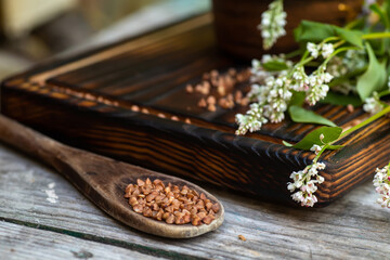 A wooden old spoon on a rustic table. Vintage cutting board with scattered dry buckwheat and fresh buckwheat plant flowers