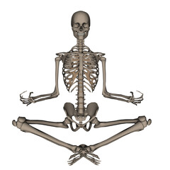 Human skeleton meditation- 3D render