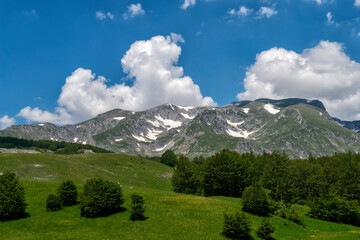 Beautiful summer mountain landscape in Montenegro