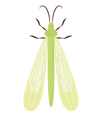 green dragonfly design