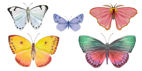 set of watercolor butterflies for postcards, design, invitations. Illustration of colorful butterflies.
