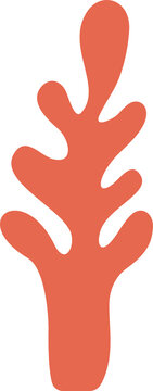 Matisse abstract coral