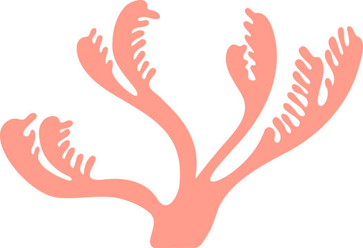 Matisse abstract coral