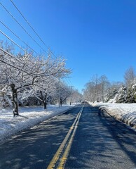 winter Road
