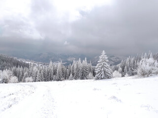 beautiful winter mountain landscape. magical winter forest.  christmas atmosphere