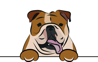 Funny English Bulldog dog with paws over a white wall, in a pocket vector illustration. Funny dog smiling. Cute dog head on a white background. Hand-drawn mascot. Smiling dog muzzle. BFF.