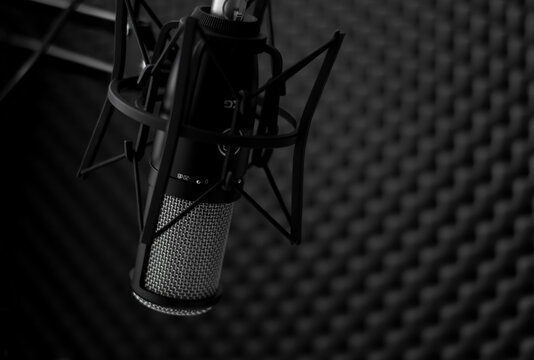 Micr&oacute;fono Profesional