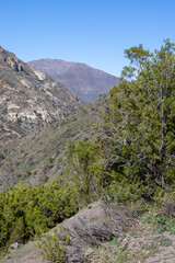 Mirador Tres Valles  - Santuario de la Naturaleza Yerba Loca - Traveling Chile