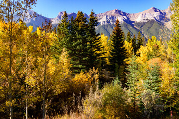 Forest and mountain landscape along the Canmore to Banff Legacy Trail in Autumn 2022