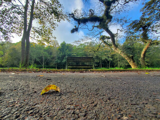 silla en la naturaleza, banca en el parque, silla de parque