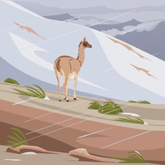 Mountain landscape of the Andes, Lama on the side of the mountain in snowy weather. Patagonia- Argentina, a wildlife scene. Artistic drawing, vector illustration.