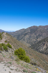 Mirador Tres Valles  - Santuario de la Naturaleza Yerba Loca - Traveling Chile