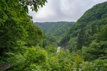 遠くに見える、初夏の苗名滝