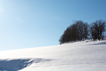 Fototapeta na wymiar 冬の晴れた日の雪原と雑木林 