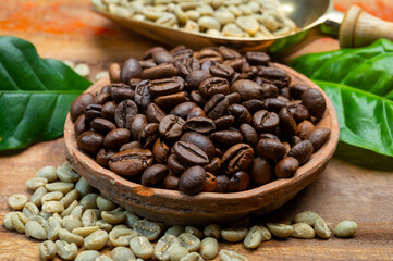 Green and roasted coffee beans from South America coffee producing region, from Colombia and Brazil with mountain ranges and climate ideal for coffee growing