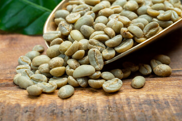 Green coffee beans from South America coffee producing region, from Colombia and Brazil with mountain ranges and climate ideal for coffee growing