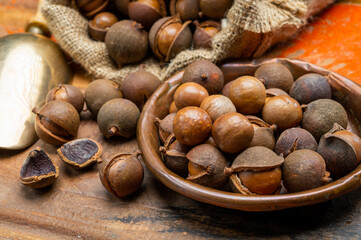 Fototapeta premium New harvest of ripe fresh Australian macadamia nuts in shell with leaves