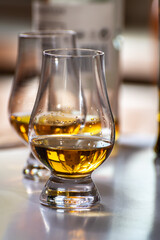 Tasting of whiskey, tulip-shaped tasting glasses with dram of Scotch single malt or blended whisky on white table