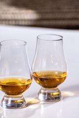 Tulip-shaped tasting glasses with dram of Scotch single malt or blended whisky on white background