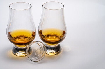 Tulip-shaped tasting glasses with dram of Scotch single malt or blended whisky on white background