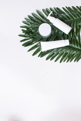 Organic natural beauty care with green topical leaves. Beauty product with leaves. Flatlay Style.