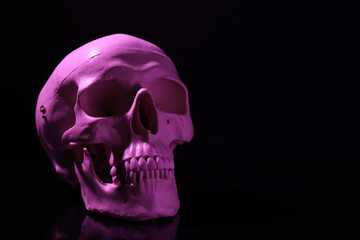 White human skull on black background, space for text