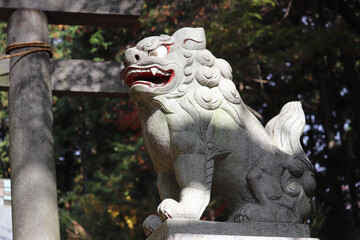 komainu guarding of japanese shrines (right side)