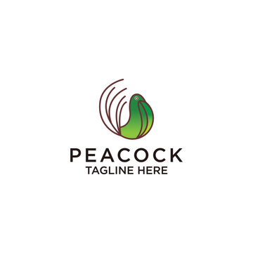 Peacock  elegant green color logo icon design template flat vector illustration