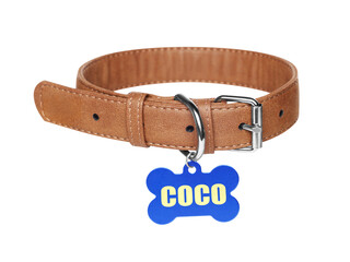 Brown leather dog collar with bone shaped tag isolated on white