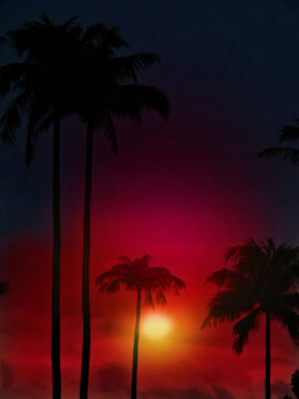 Blurred landscape, Coconut palm trees on the colorful sunset sky , magic beauty nature, picturesque natural backdrop.