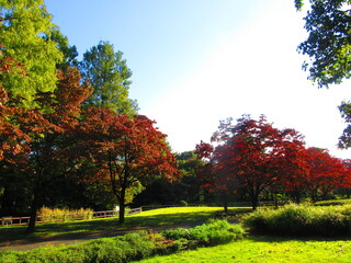 Naklejka premium 秋の行楽地