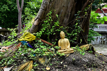 The Golden Buddha statue under the Bodhi tree is located in the Buddhist temple area for people to pay obeisance.
