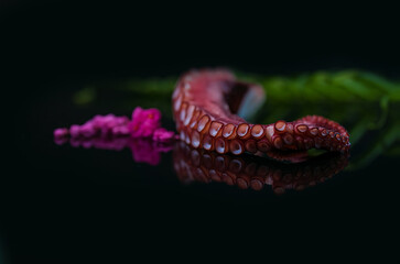 Sashimi, Slices of octopus Japanese food, Boiled octopus sashimi ,black background