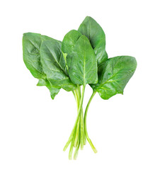 Spinach on transparent png