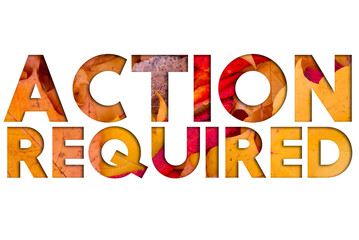 Autumn leaves, objects with Action Required text. Natural patterns, color design.