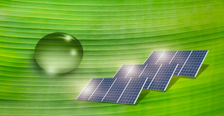 Solar panels on the banana leaf - Artificial photosynthesis concept