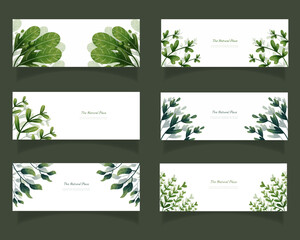 Fototapeta na wymiar leaves bakground design vector for ecology set bundle nature leaves background