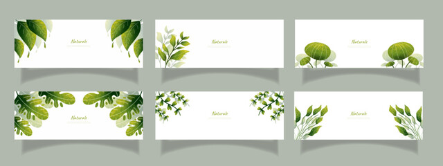 leaves bakground design vector for ecology 
set bundle nature leaves background